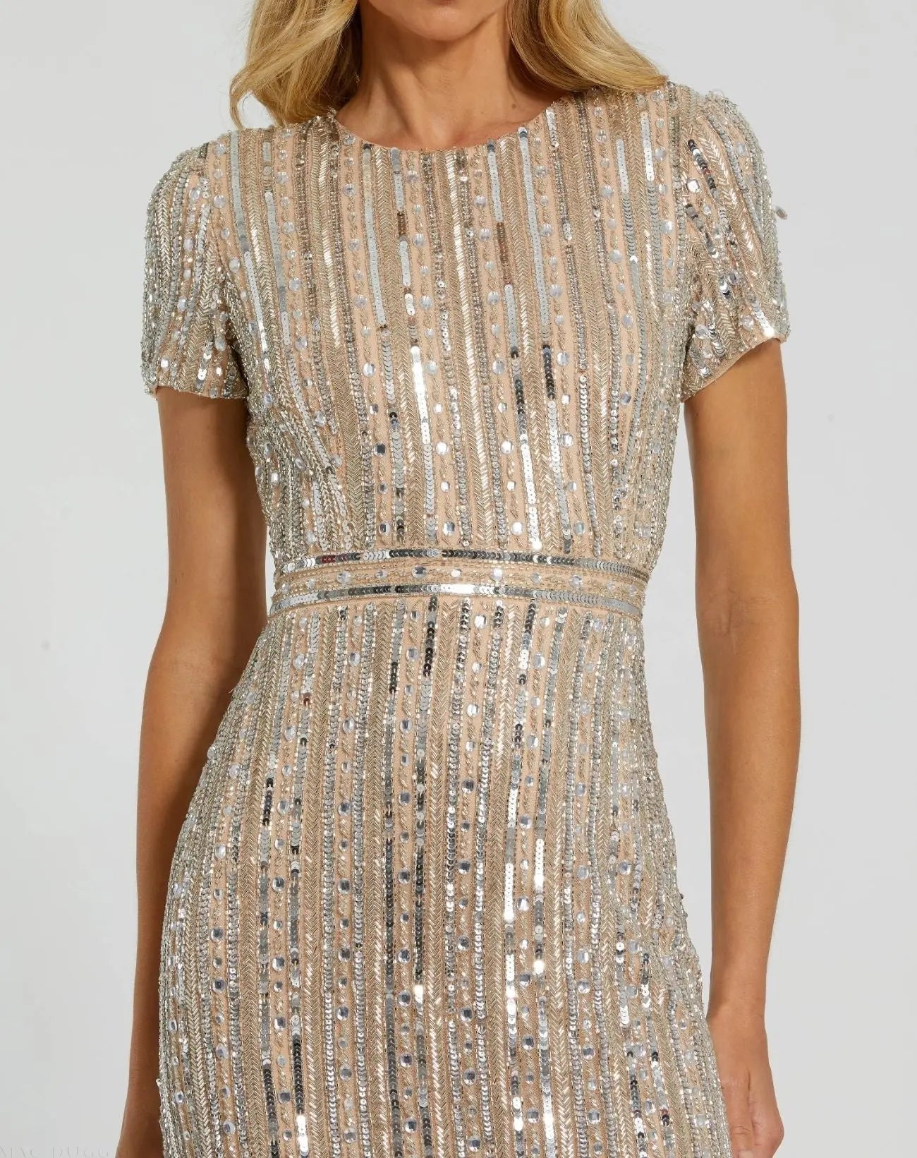 Beige and Silver High Neck Short Sleeve Embellished Gown