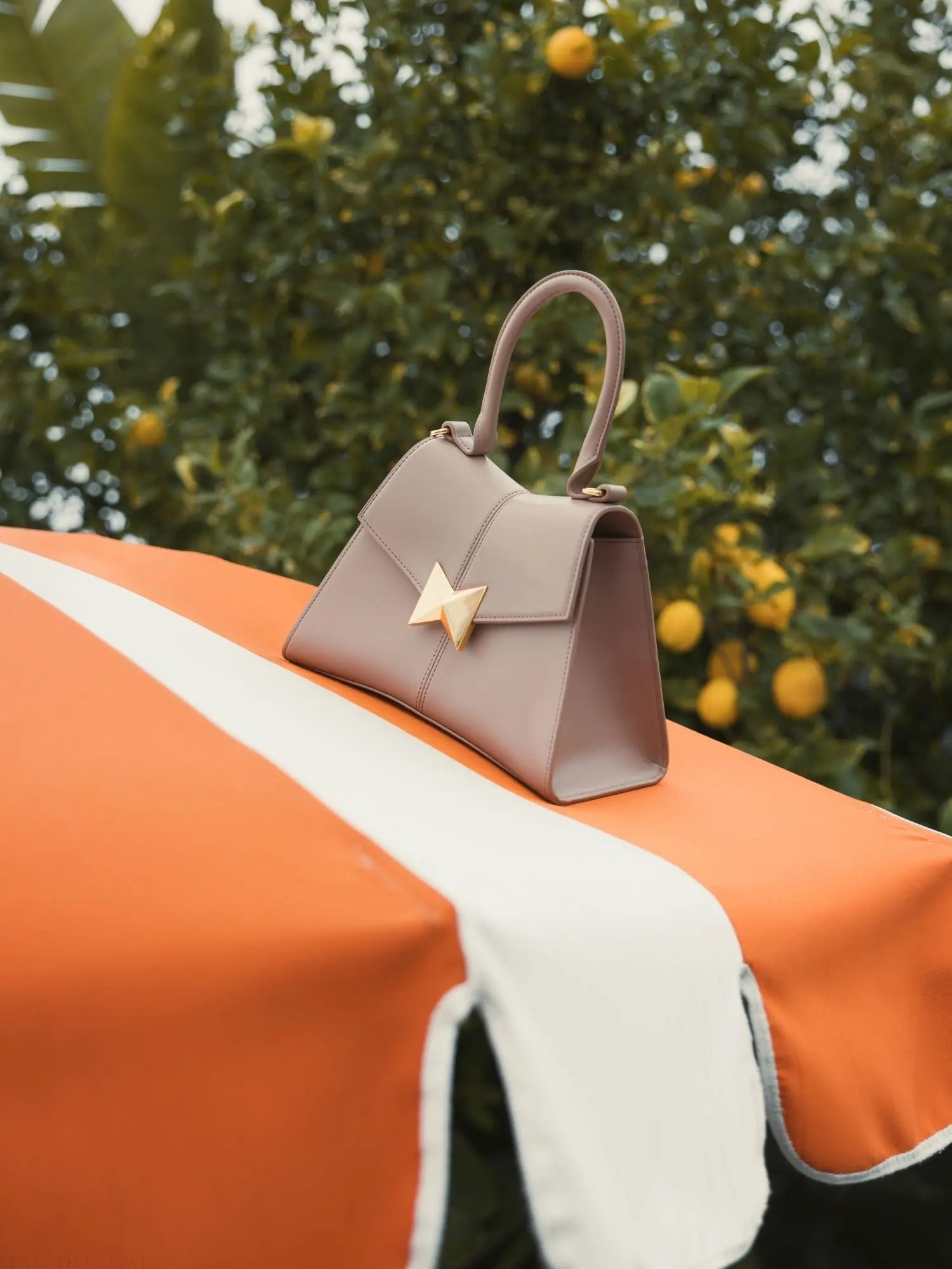 Brown Angular Small Leather Handbag With Gold Hardware