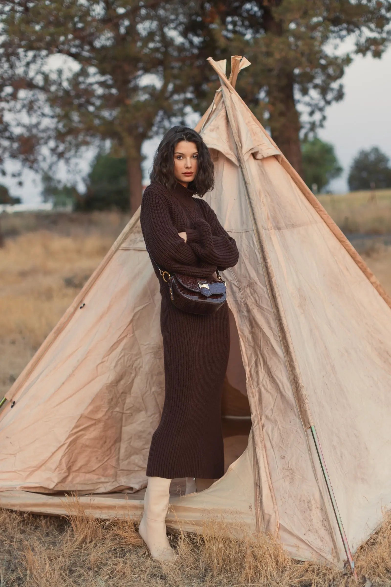 Brown Long Sleeve Turtle Neck Knit Midi Dress