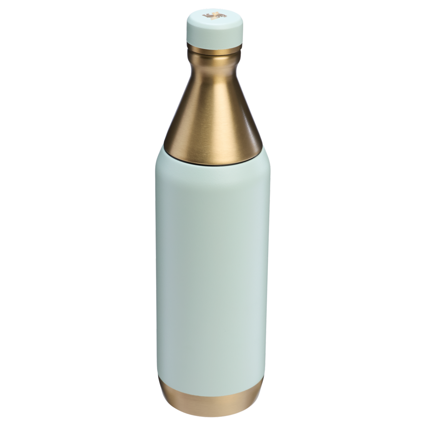 All Day Slim Bottle | 20 OZ